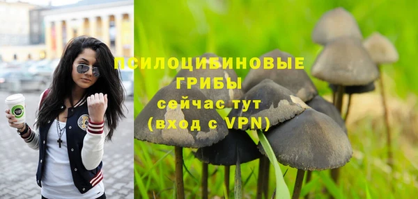 гашик Нефтекумск
