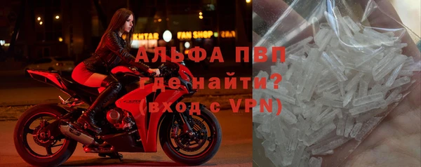 прущие крисы Киренск