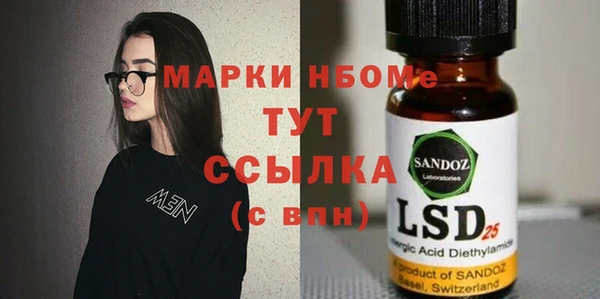 молекула духа Няндома