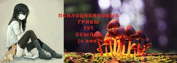 соль ск Великий Новгород