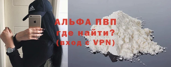 гашик Нефтекумск
