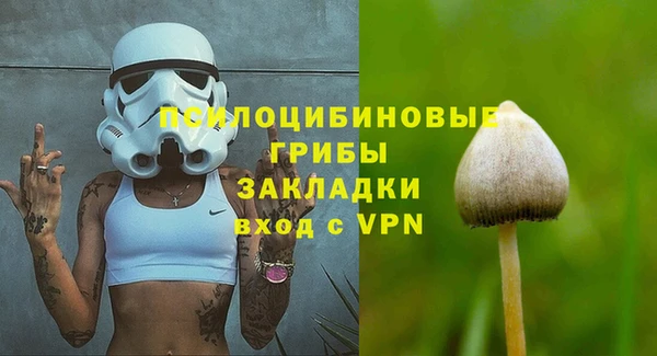 ECSTASY Нея