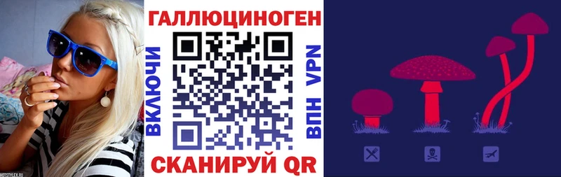darknet формула  купить  сайты  блэк спрут онион  Канск  Галлюциногенные грибы Psilocybine cubensis 
