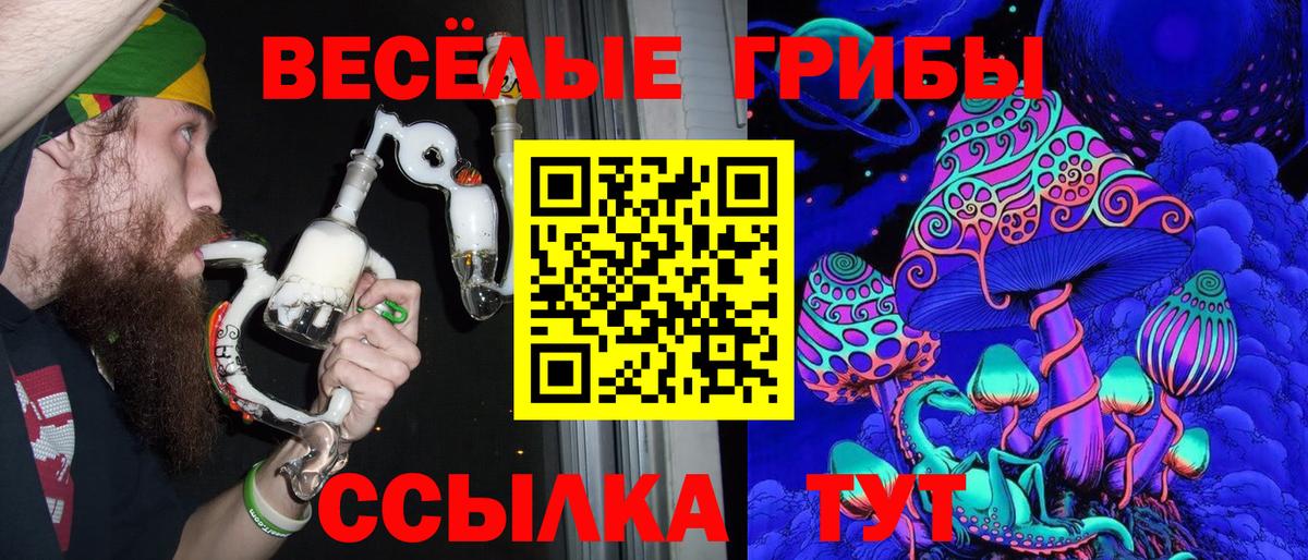 Канск  Галлюциногенные грибы Psilocybine cubensis  Вход с VPN 